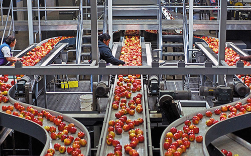 PA视讯官方网站恭贺清涧北国枣业公司斥资 3.4亿正式投产 