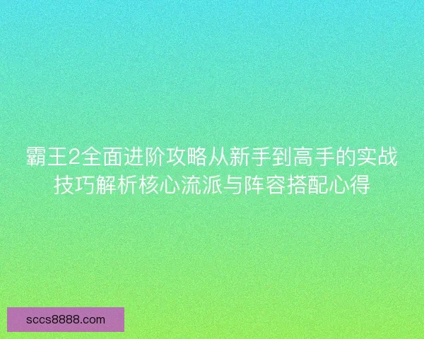霸王2全面进阶攻略从新手到高手的实战技巧解析核心流派与阵容搭配心得
