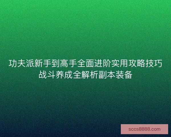 功夫派新手到高手全面进阶实用攻略技巧战斗养成全解析副本装备